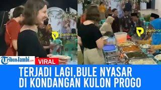 Viral Bule Nyasar Di Kondangan Kulon Progo, Awalnya Penasaran Dengan Suara Musik