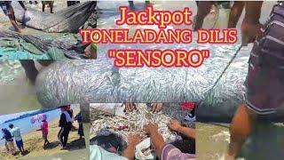 JACKPOT ISANG TONELADANG DILIS GAMIT ANG TRADITIONAL TECHNICS NA "SENSORO"