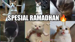 Random Car M/V Eps.Ramadhan