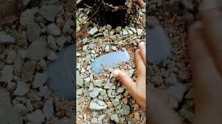 finding old bottom phone under rocks