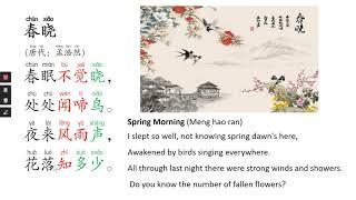 我爱诗歌I love poems —春晓Spring morning 孟浩然