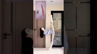 Yoga Asana, Stretching, Split, Fitness, Beauty #Yoga#yogaexercise #Weight loss #shorts