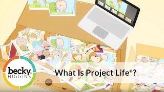 What is Project Life?