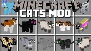 Minecraft CAT MOD / BREED AND SPAWN UGLY LOOKING CATS!! Minecraft