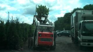 Tree Transportation; Chris Orser Landscaping, Inc.