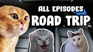 FRIENDS ROADTRIP CAT MEME COMPILATION...