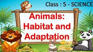 Animals: Habitat & Adaptation || Class 5 - Science ||| CBSE / NCERT ||  Adaptation in Animals