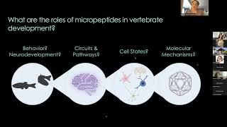 Developmental Biology