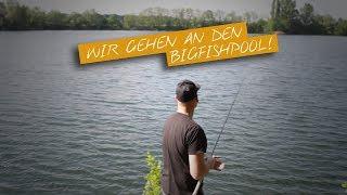 Auf Karpfen am Bigfishpool | Jan Brauns Teil 1