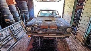 World's First Barn Find Turned Show Car And It's A Shelby Mustang