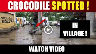 ON CAMERA : Crocodile Spotted Walking on the village street , People shocked to see him