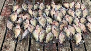 Crappie VS Catfish! {Catch Clean Cook} Which Taste Better?