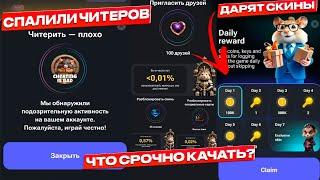 Hamster Kombat пометили читеров! Новые ежедневные награды, определилась редкость достижений!