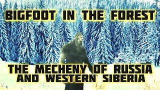 BIGFOOT IN THE FOREST - THE MECHENY