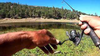 Un Rato De Pesca En Lo Que Queda De Jenks Lake