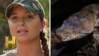 18-FOOT-LONG SERPENT Strikes Again | Swamp People: Serpent Invasion (Season 3)