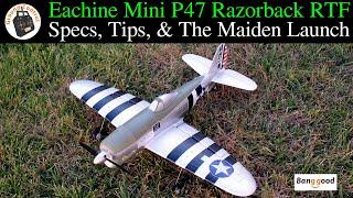 Eachine Mini P47 Razorback Warbird 500mm Wingspan Gyro RTF - Specs, Tips, My Setup, & Maiden Launch!