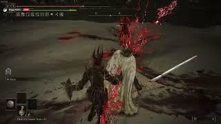 THE COOOOLEST NPC FIGHT IN SOULS