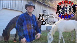 REBEL ROADS - BLACK BEARS - (OFFICIAL MUSIC VIDEO) #independenthiphop #countrymusic #countryrap
