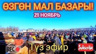 Өзгөн мал базары! 21 НОЯБРЬ