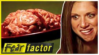 Eating COW'S BRAINS | Fear Factor US | S02 E03 | Full Episodes | Thrill Zone
