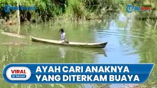 Video Perjuangan Ayah saat Cari Anaknya yang Hilang Diterkam Buaya, Warga Tak Berani Masuk Sungai