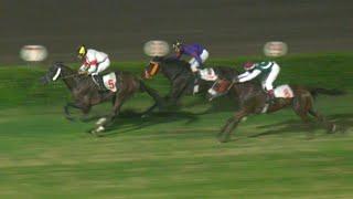 4th Race The Gawadar Plate Distance 900 Meters Winner Pureto Rico ( Pakistan Horse Racing )