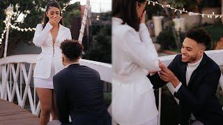 THE PROPOSAL...