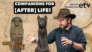 Ancient Egyptian Mummified Cat Case | Curiosity Trek!