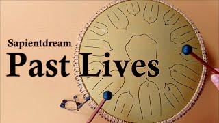 Past Lives (Sapientdream) - Steel Tongue drum / tank drum cover with tabs