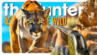 I hunted EVERY CAT in the game! | theHunter: Call of the Wild