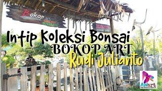 Intip Koleksi Bonsai Bokop Art | Rudi Julianto Bonsai | Di Surabaya