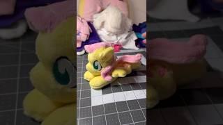 A quickie #fluttershy #mylittlepony #plush video! Credits: Hibiscus Stitch and Equine Palette Art