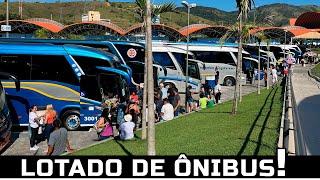 + DE 250 ÔNIBUS DE VIAGEM DIFERENTES EM APARECIDA | O FINAL É SURPREENDENTE