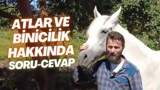 Atlar ve Binicilik Hakkında Sık Sorulan Sorulara Cevaplar 