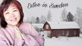 #shorts video about Estee in Sweden