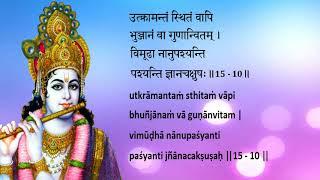 Bhagavad Gita Chapter 15 Chanting by Padmini Chandrashekar (Learning Aid)