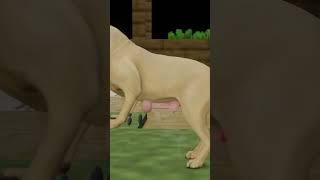 why dogs stuck during mating ?3d animation #shorts#viral