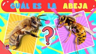  Adivina el Animal Correcto [2024]| Quiz de Animales - Podrás pasar este Test?