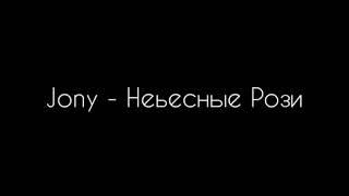 Jony -  Небесные Розы (minus)