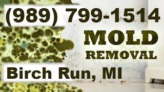 Mold Removal Birch Run MI (989) 799-1514 | Mold Remediation Birch Run Michigan