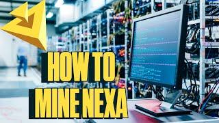 How to Mine Nexa | Windows 11 & HiveOS