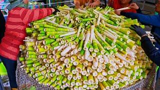 Amazing Scene！Harvesting Bamboo Shoots,Bamboo Shoots Manufacturing Process/泰安桂竹筍大量製作,桂竹筍採收-原住民桂竹筍加工站