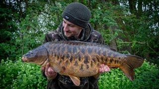 Incredible day ticket carp- Uk carp fishing