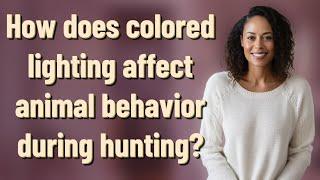 How does colored lighting affect animal behavior during hunting?