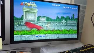 Altered Beast game play on a Datsu bootleg board