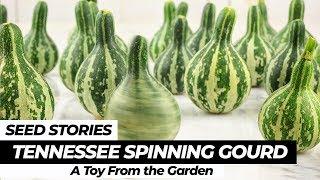 SEED STORIES | The Tennessee Spinning Gourd: A Toy From the Garden