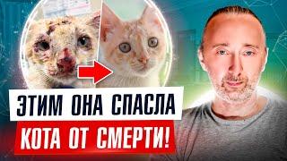 Лучший корм для кошек и собак, который спасёт и продлит жизнь, когда ветеринары не могут помочь!