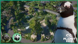 Complete Penguin Outdoor Area | Ep. 27 | OakWood Zoo