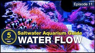 How to choose powerheads and get flow right the first time. Saltwater Aquarium Flow